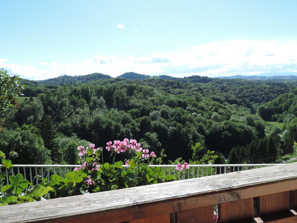 Weingut Gaestezimmer Gruber Ehrenhausen Luaran gambar