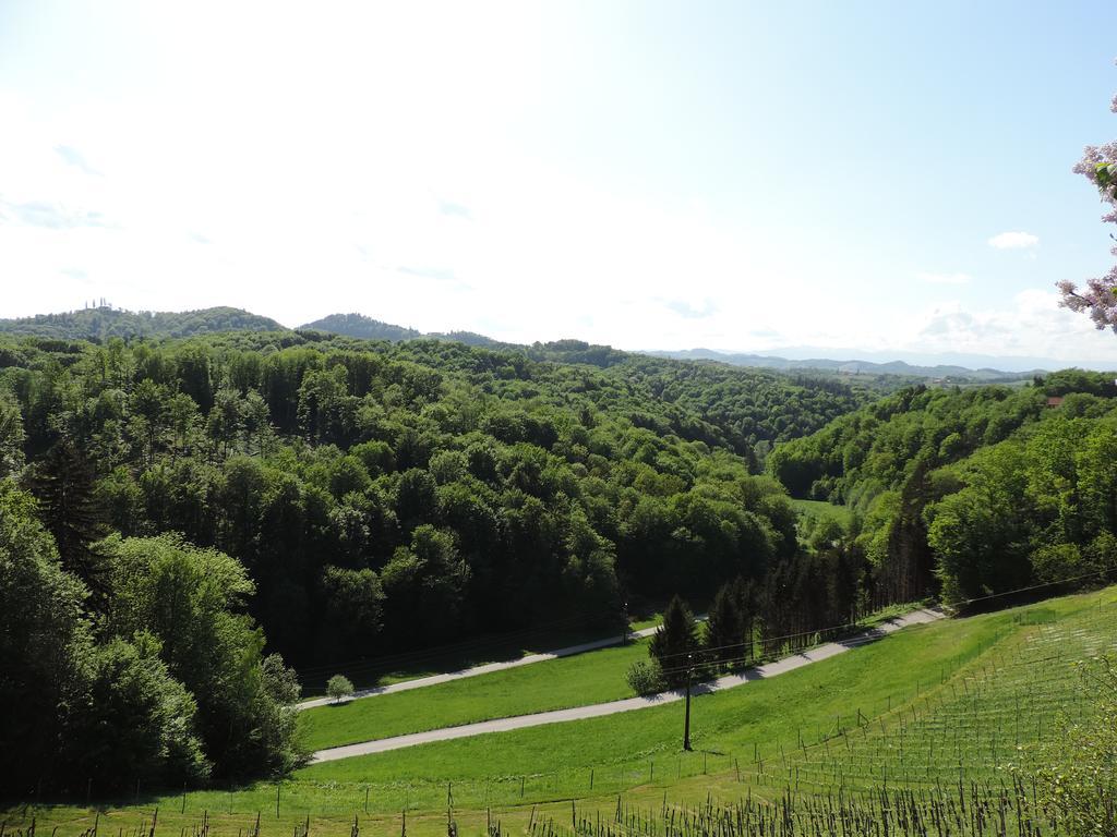 Weingut Gaestezimmer Gruber Ehrenhausen Luaran gambar